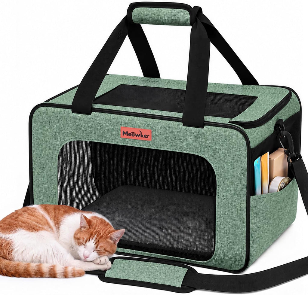 Soft-Sided Cat Dog Pet Carrier Airline Approved, Medium Green