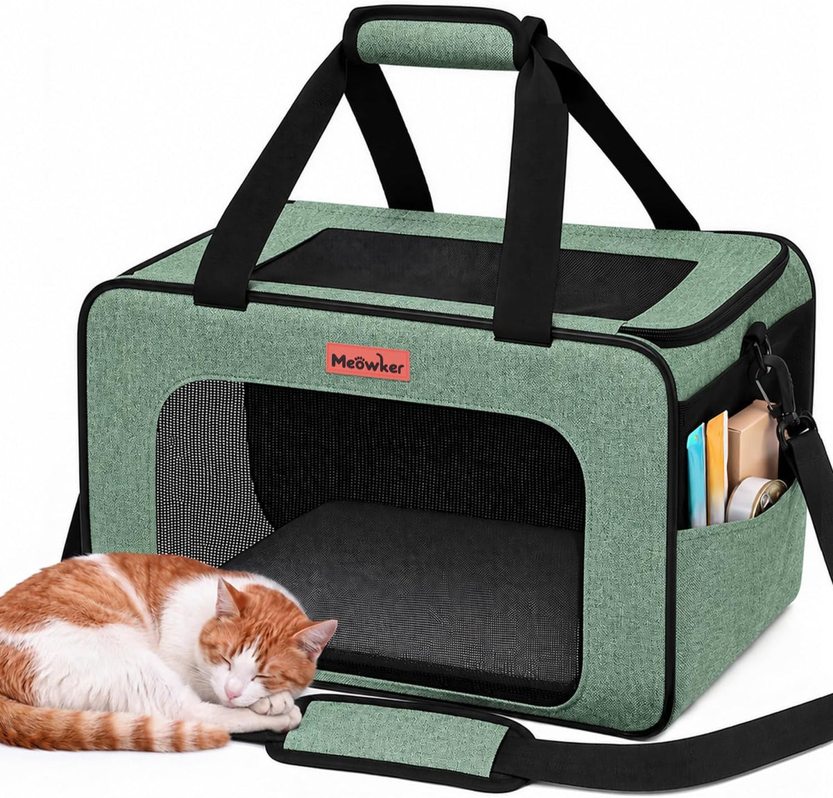 Soft-Sided Cat Dog Pet Carrier Airline Approved, Medium Green