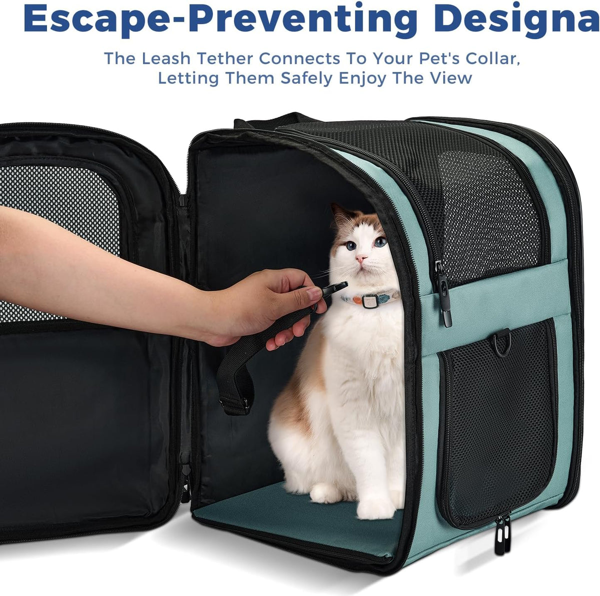 Apollo Walker Cat Backpack Carrier, Support Frame, 16 lb Weight Capacity