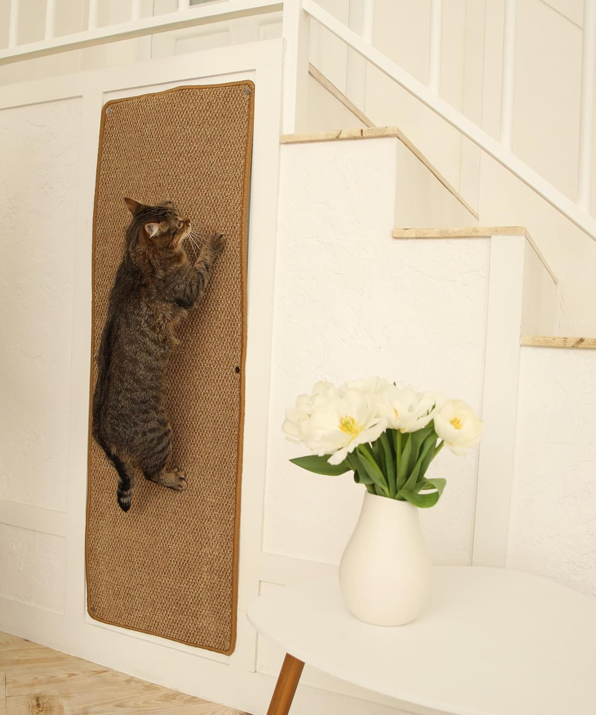 Cat Wall Climbing Carpet - Cat Wall Scratcher 50" x 17" with Fixed Nails