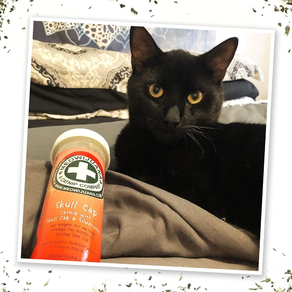 Meowijuana Jump 'n' Jamb Sloth Cat Toy and Catnip Blend | High Potency