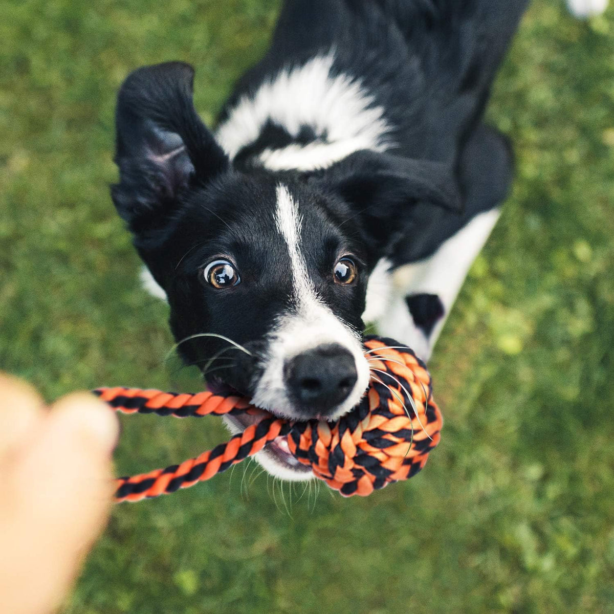 SHARLOVY Large Tough Chew Toys for Aggressive Chewers, 9 Pack Dog Rope Toys | Heavy Duty 5 Knots Indestructible Rope Toys for Large Breed, Cotton Puppy Teething Chew Toys,Tug of War Toy for Medium Dogs