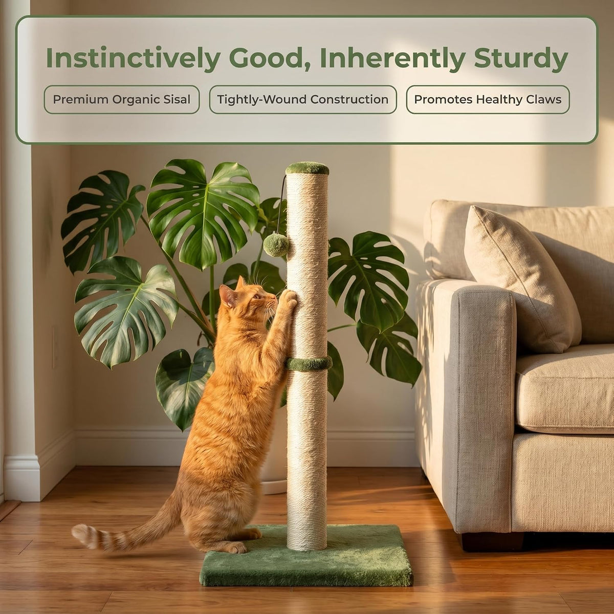 Dimaka Tall Cat Scratching Post, Claw Scratcher with Sisal Rope and Covered with Soft Smooth Plush, Vertical Scratch [Full Strectch] for Standard Size Cats (Green, 34 inches for Large Cats)