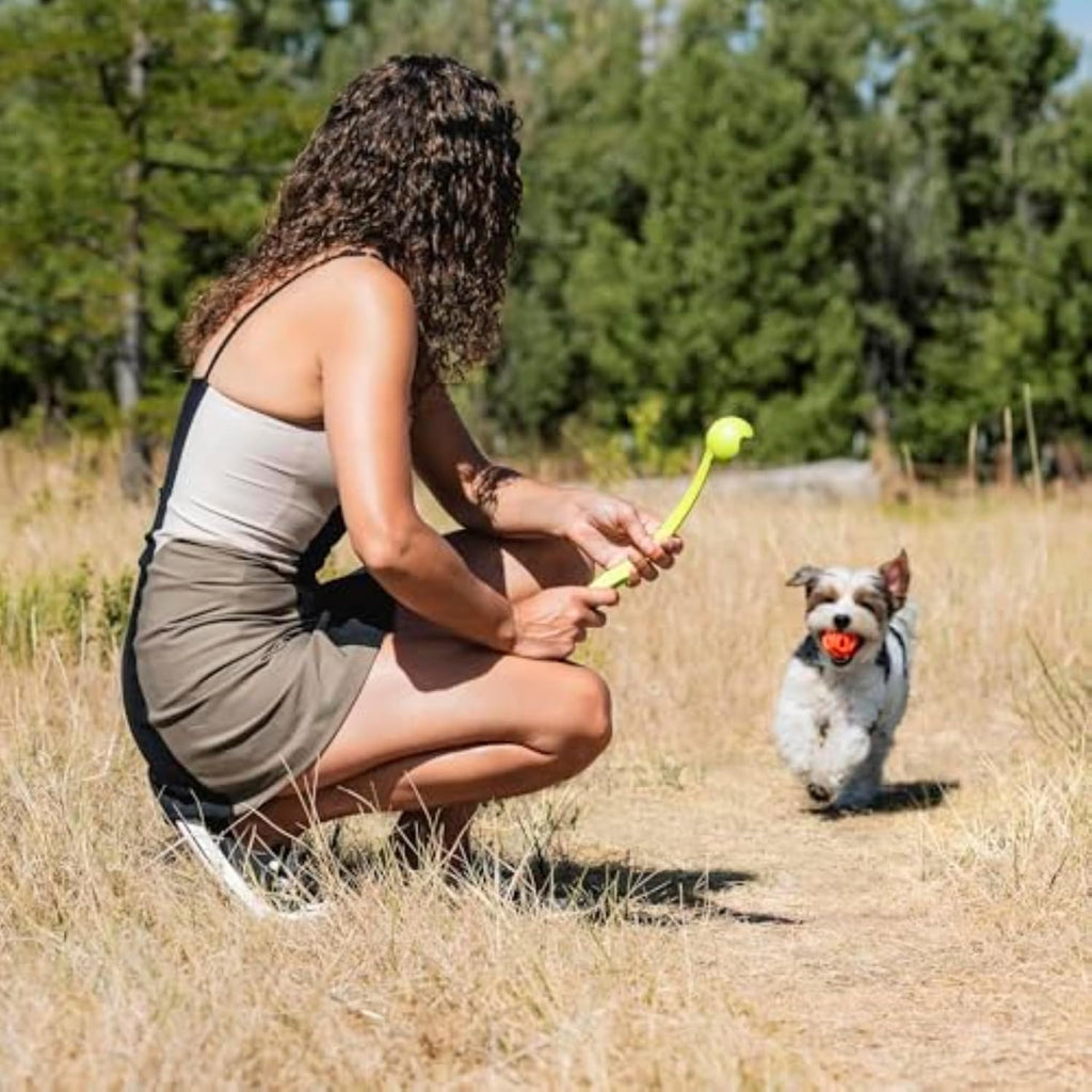 Chuckit! Air Fetch Ball Dog Toy, Medium (2.5 Inch Diameter), for Dogs 20-60 lbs, Ball - Medium,2 Count (Pack of 12)