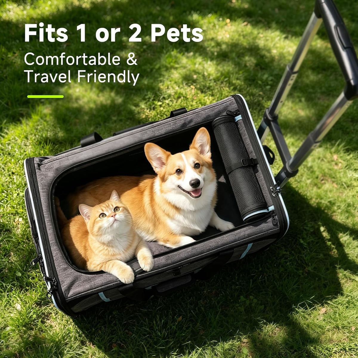 Large Pet Carrier with Wheels, Foldable Rolling Cat Carrier with Telescopic Handle, 4-Sided Mesh, Collapsible Rolling Travel Carrier for Dogs & Cats for Visits, Camping(Not for Airline)