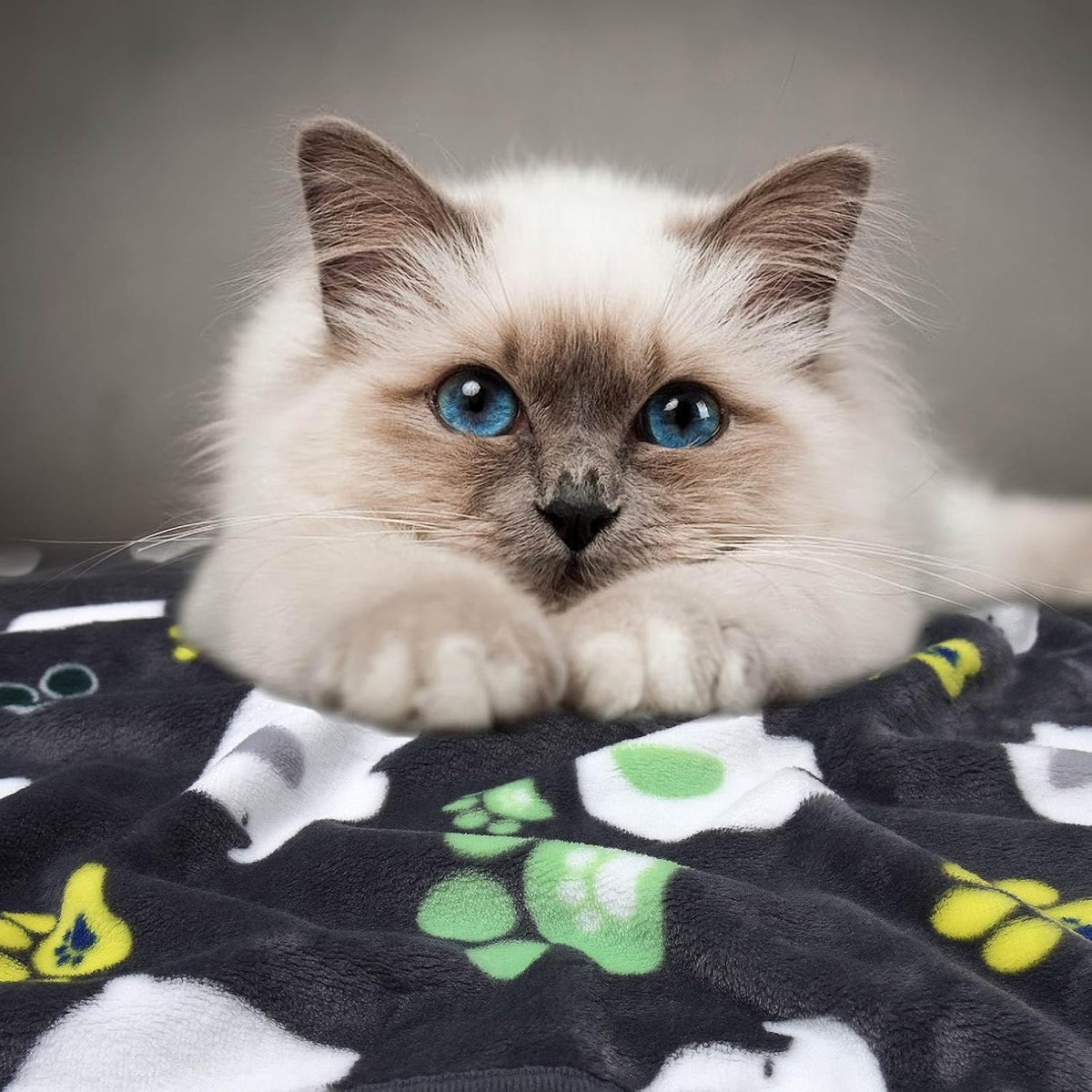 Rezutan Small Dog Blanket, Soft Puppy & Cat Flannel 3 Pack, 24"x20"