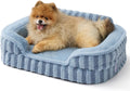 LE SURE Cute Cozy High Back Orthopedic Small Dog Bed with Sides, 24" Blue