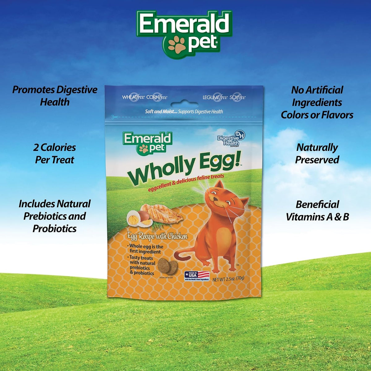 Emerald Pet Wholly Egg Cat Treats for Digestive Health – Soft & Moist Chicken Cat Treats with Natural Prebiotics & Probiotics – Supports Gut Health, 2.5 oz