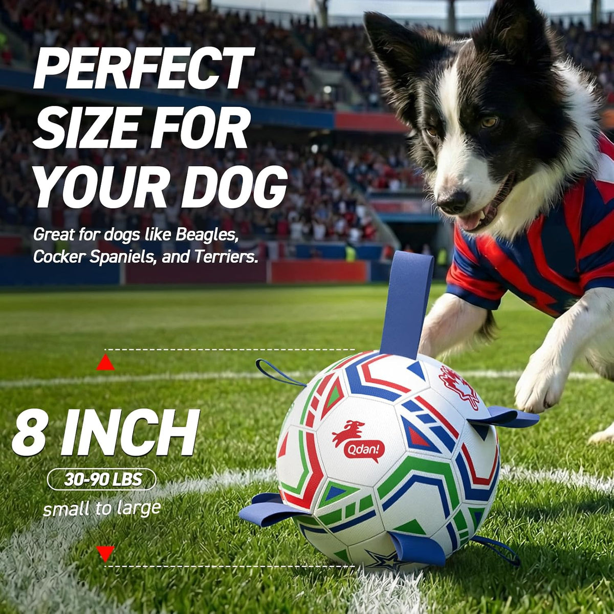 QDAN World Cup Soccer Ball for Dog, Large Herding Ball for 30-90 lbs Dogs | 8 Inch Dog Balls with Straps for Interactive, Tug and Training, Indoor Outdoor Toys for Medium Large Dogs, Water Dog Toy Ball