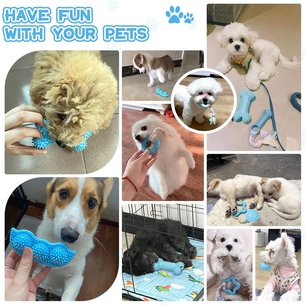 Petcare 6 Pack Puppy Chew Toys - Blue, Soft Rubber Rope & Bone Ball Teething Toys for Small Dogs & Puppies, Including Yorkie