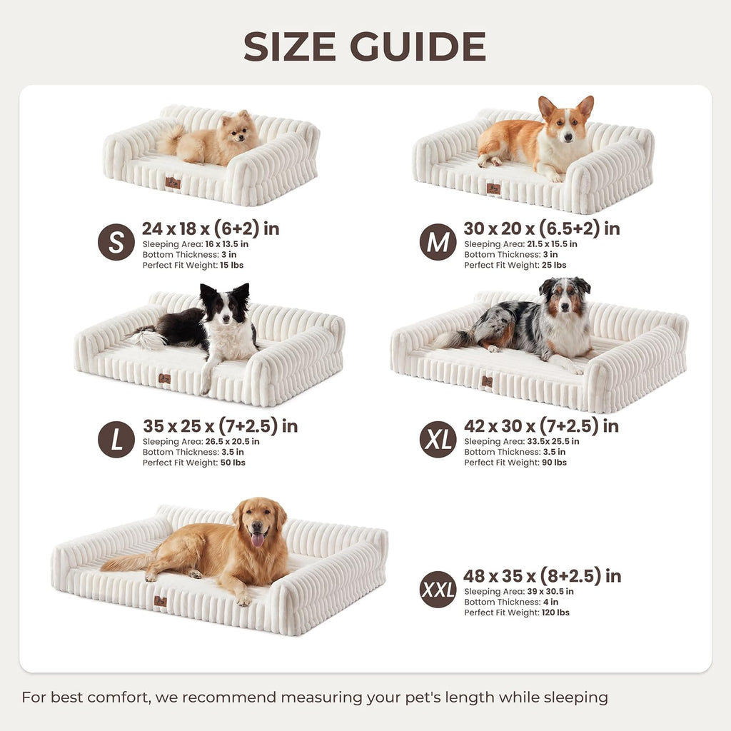 Orthopedic Dog Bed Small 24x18x8” Washable Cover Cream