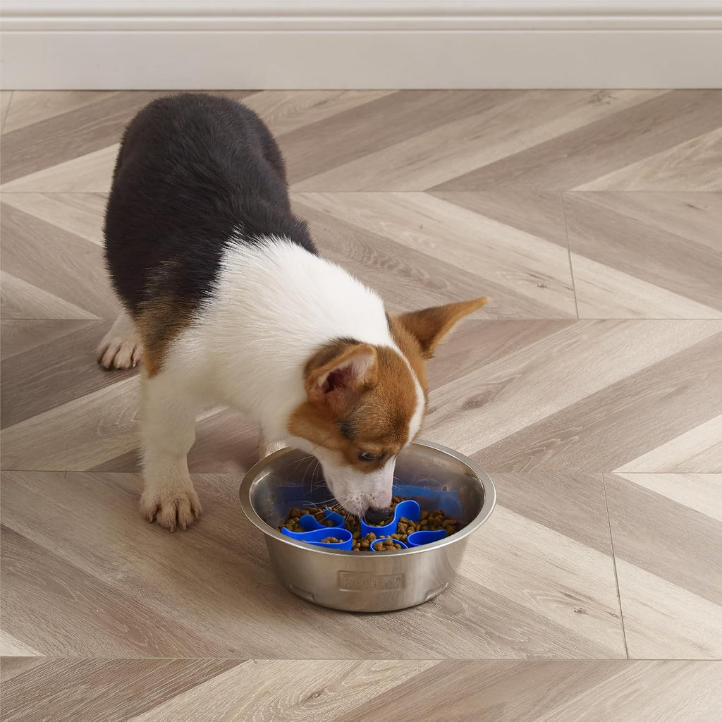 Outward Hound Fun Feeder Stainless Steel Slo Bowl for Dogs, Medium, 8.3" | Slows Fast Eaters, Can Aid Digestion, Holds 2 Cups Dry or Wet Food, Removable Maze, Non-Slip, Fits Raised Feeding Stations 