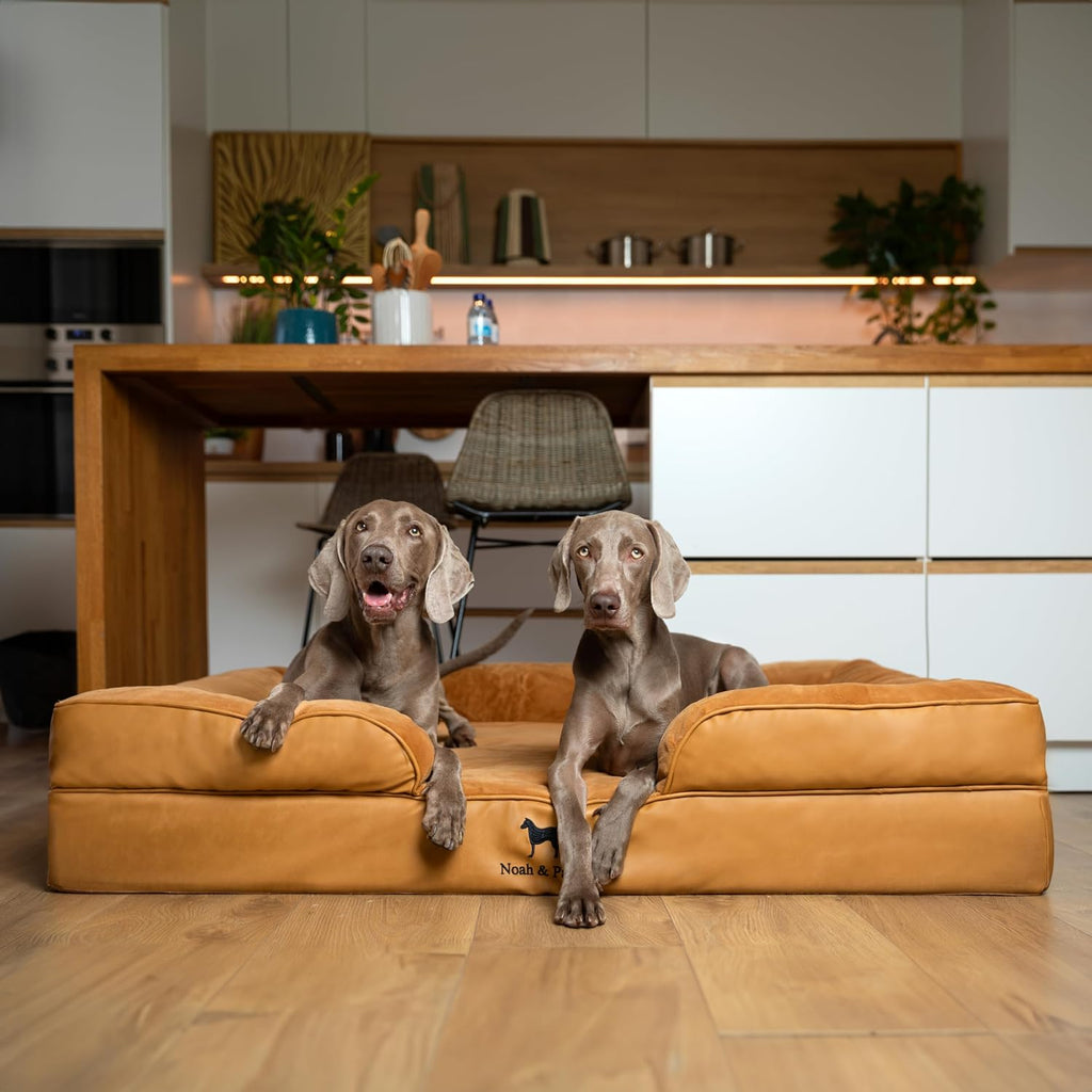 NOAH & PAW Large Dog Bed, Orthopedic Memory Cooling Foam (2X Base) 45x35x11