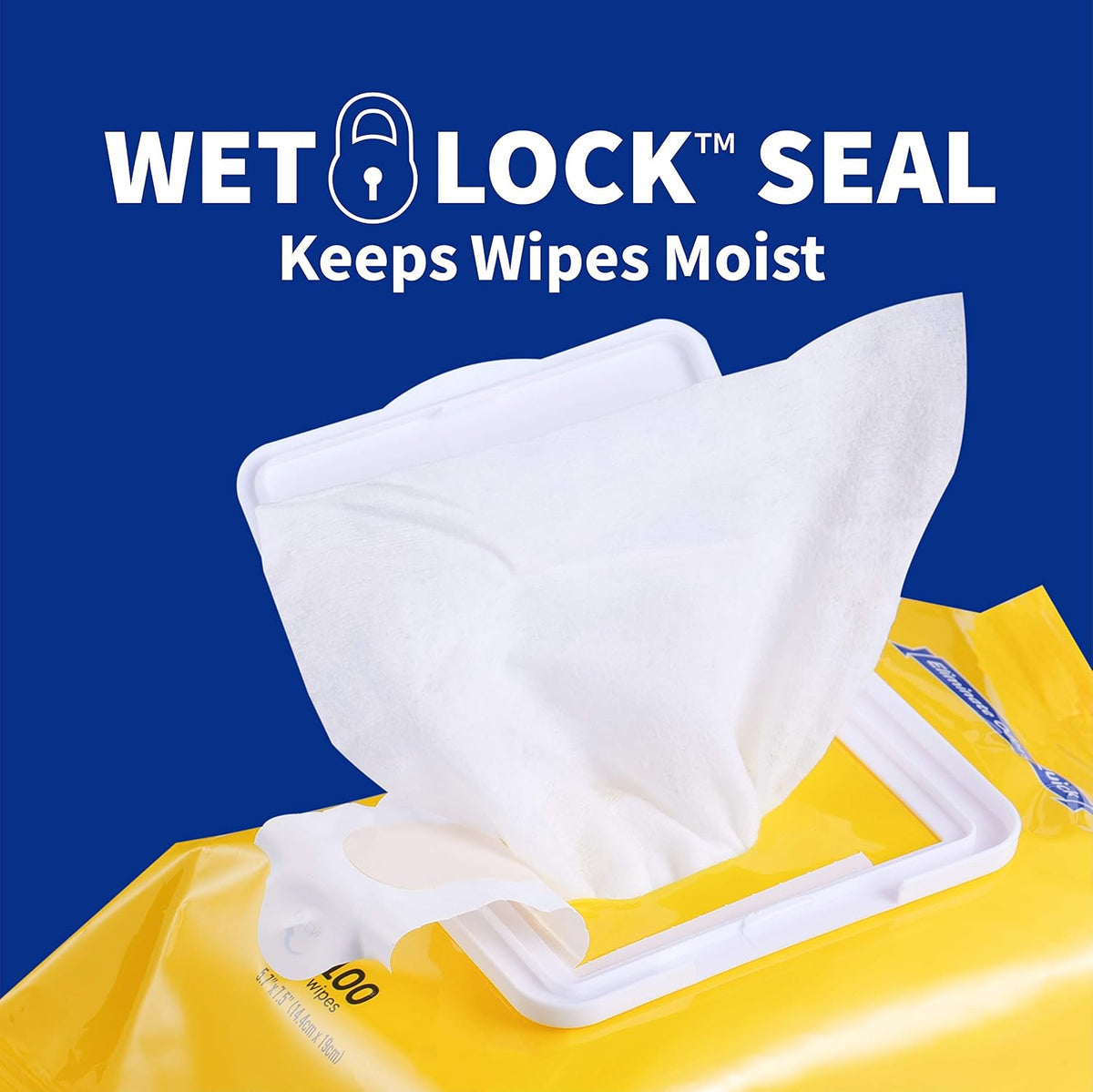 Wet Ones for Pets Deodorizing Dog Wipes, Tropical Splash, 100 Count | Baking soda formula, moisture-lock seal keeps cloths fresh, suitable for daily grooming between baths 