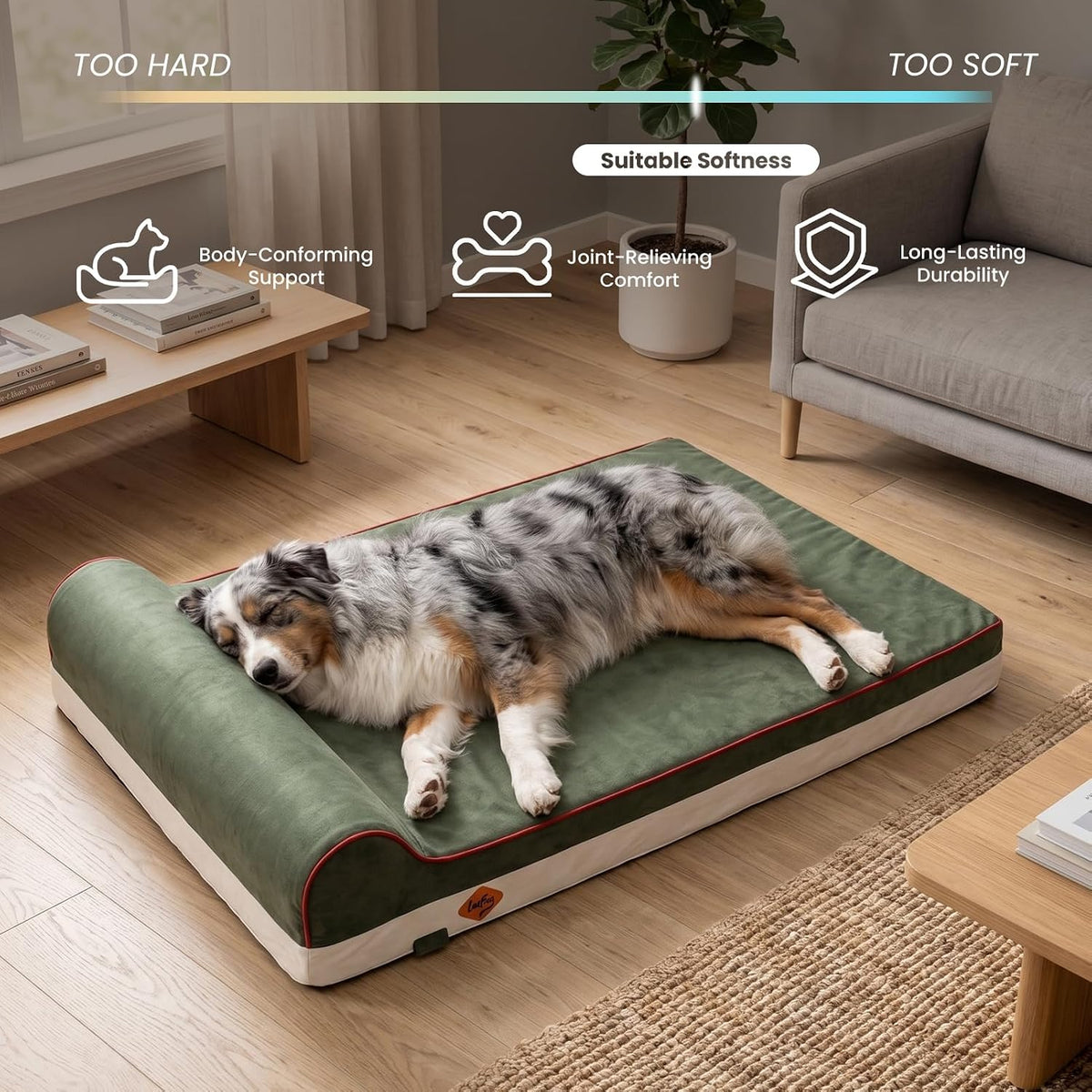 Laifug Orthopedic Dog Bed, Dark Green 34''x22''x5.5'', Memory Foam
