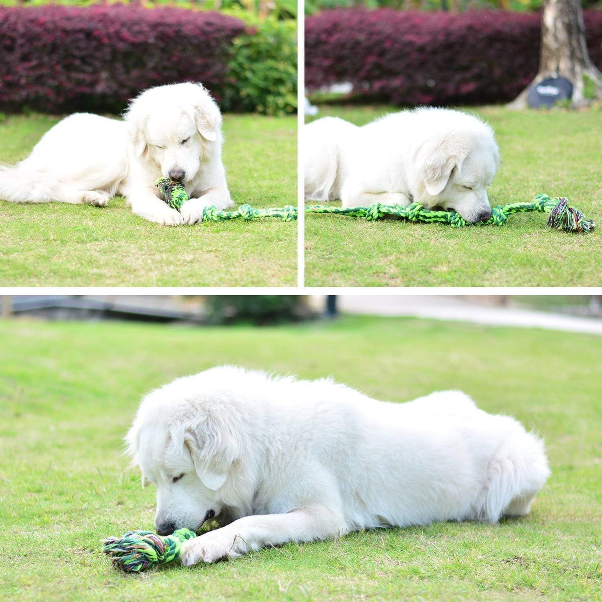 SHARLOVY Dog Toys for Large Dogs and Aggressive Chewers | Indestructible XL Durable Dog Toy,5-Knot Rope Tug,Heavy Duty Chew Sturdy Cotton Knot Rope Toy for Large Breed Dogs
