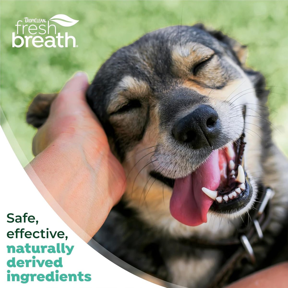 TropiClean Fresh Breath Dog Tooth Brushing Kit for Small/Medium Dogs 