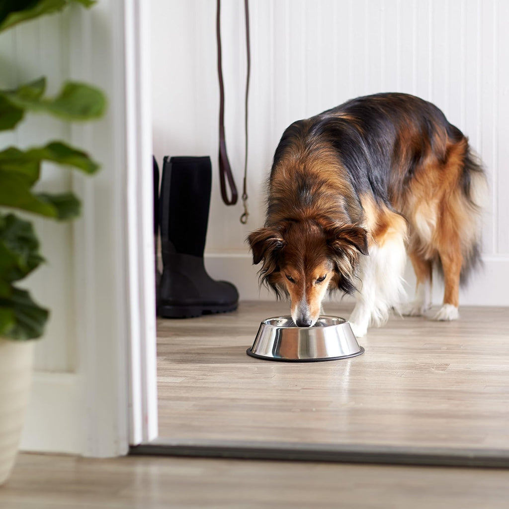 Amazon Basics Stainless Steel Non-Skid Dog Bowl, Dishwasher Safe, Rust Resistant, Single 