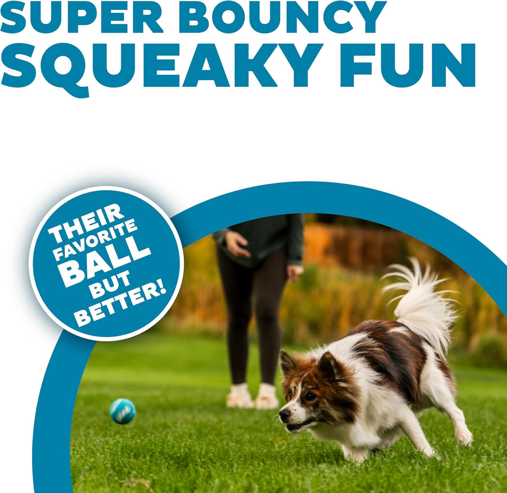Outward Hound Squeaker Ballz Tennis Ball Dog Toy, Small, 2", 4‑Pack | Squeaks & Bounces, Bright Colors, Interactive Fetch & Training, Indoor Outdoor, Moderate Chewers, Small Dogs (Under 25 lbs)