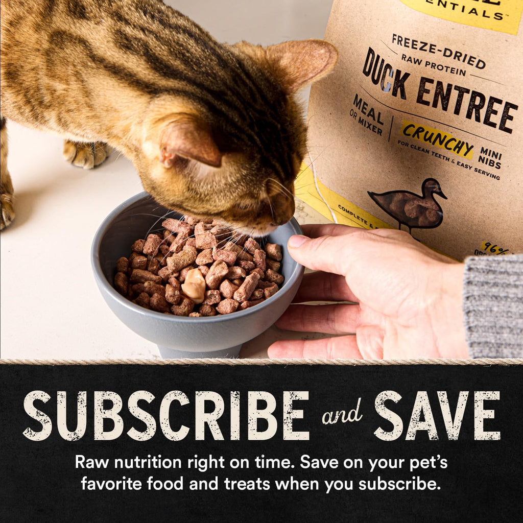 Vital Essentials Freeze Dried Cat Food, Turkey Crunchy Mini Nibs, 12 oz Bag
