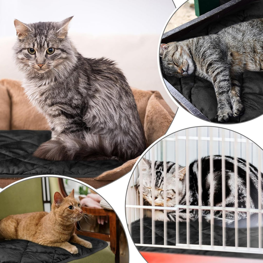 4 Pack Self Heating Cat Pad Self Warming Dog Mat, 16 x 20 Inch, Black