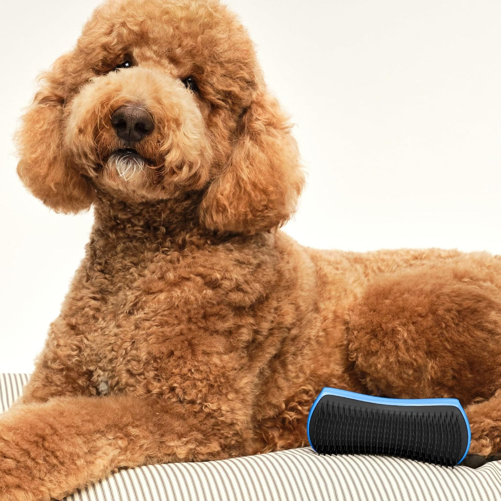 Pet Teezer Detangling Dog Brush for Long Hair Breeds, Large, Blue & Grey