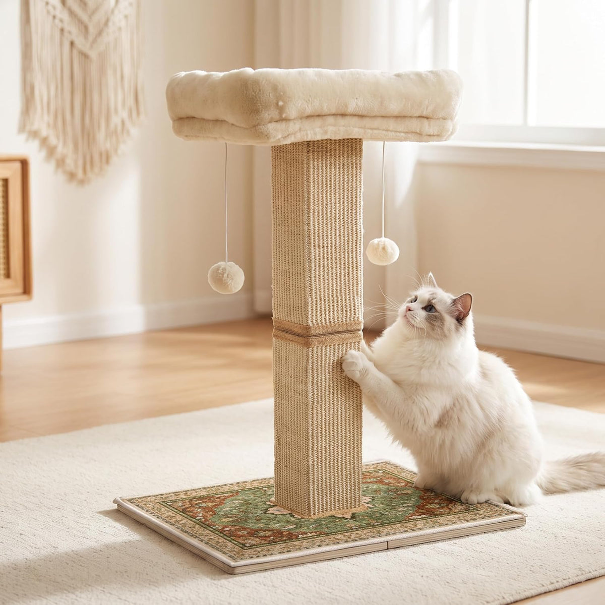 Cat Scratching Post with Bed for Indoor Adult Cats, Cat Perch,Green
