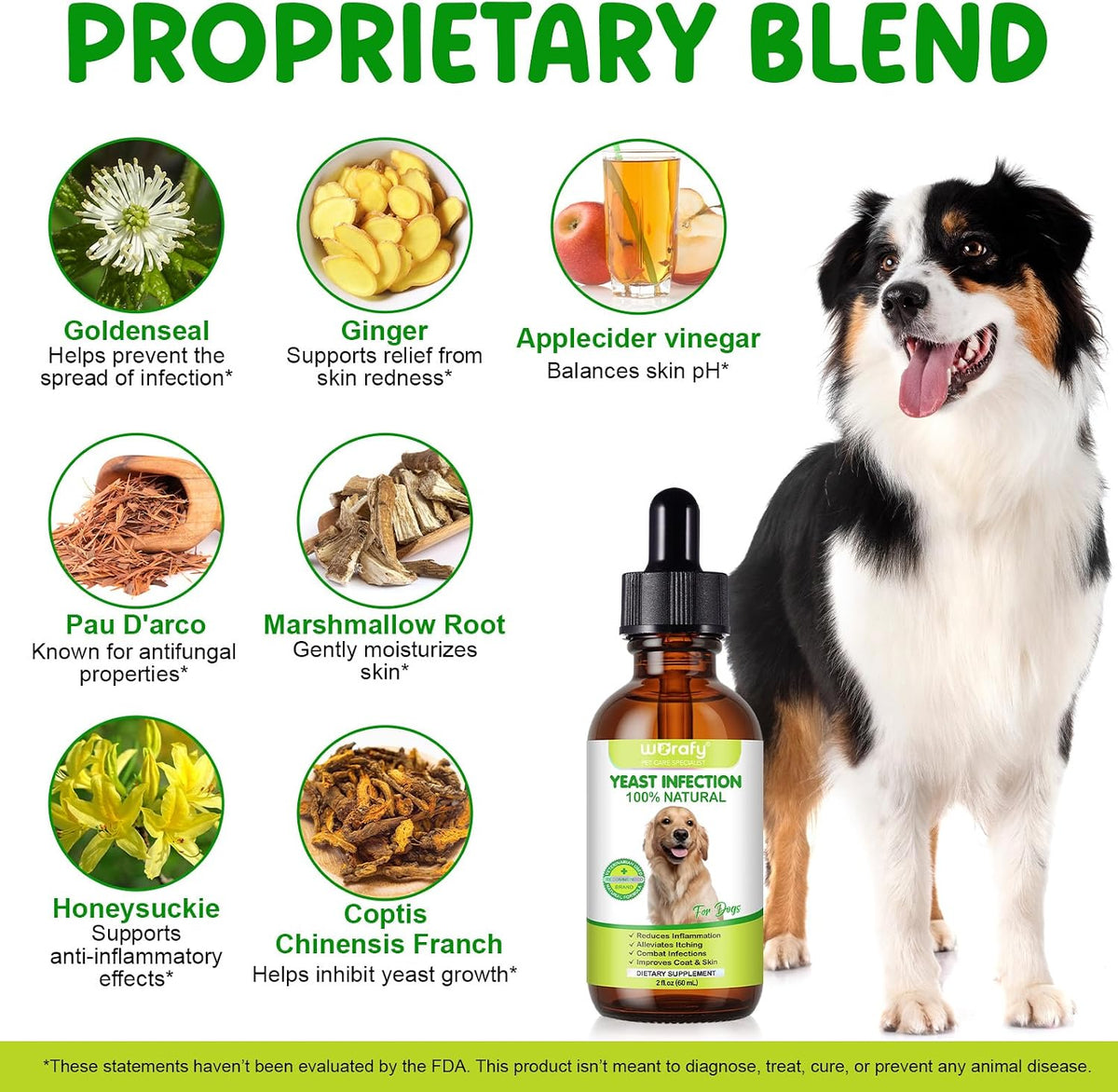 Natural Dog Yeast Infection Treatment for Itchy Skin, Ears & Paws, Soothes Irritation & Relieves Discomfort from Allergies, Supports Healthy Itch Relief, Improves Coat & Skin, Herbal Supplement Drops