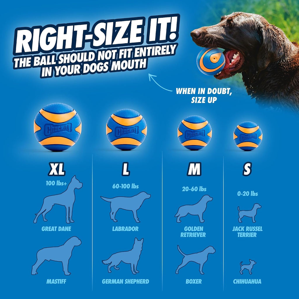 Chuckit! Ultra Squeaker Dog Ball - Extra Large Bouncy and Squeaky Pet Toy for Dogs 100+ lbs - Floats on Water - Durable Rubber - 3.5" Diameter - Size XL (Pack of 12)