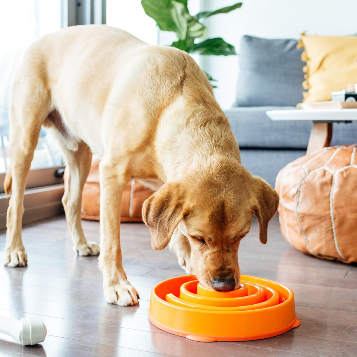 Outward Hound Fun Feeder Slo Bowl – Large 4‑Cup Capacity, Slow Feeding, Medium to Large Dogs, Non‑Slip, Orange, Swirl Pattern | Slows Fast Eaters, Can Aid Digestion, Holds 4 Cups Dry or Wet Food, Non-Slip Base, Easy Clean, No BPA, Medium to Large Dogs 