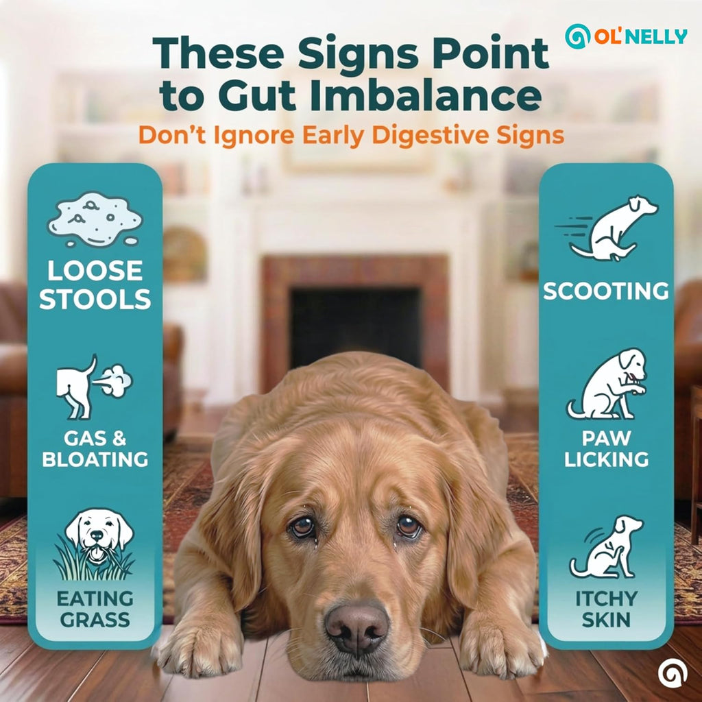OL’ NELLY Probiotic Paste for Dogs & Cats, 7.2 Billion CFU | 14g