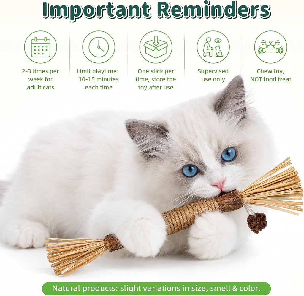 Silvervine Sticks Cat Chew Toys for Indoor Cats Dental Care Teeth Cleaning, Natural Kitten & Cat Teething Toys for Health, Cat Chew Stick Treat Edible Suitable for All Breeds of Aggressive Chewers Cat