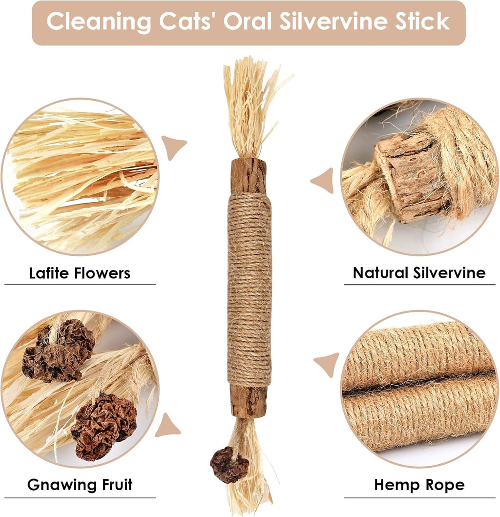 Bissap 10PCS Silvervine Catnip Chew Sticks, Interactive Toy for Cat Kitten