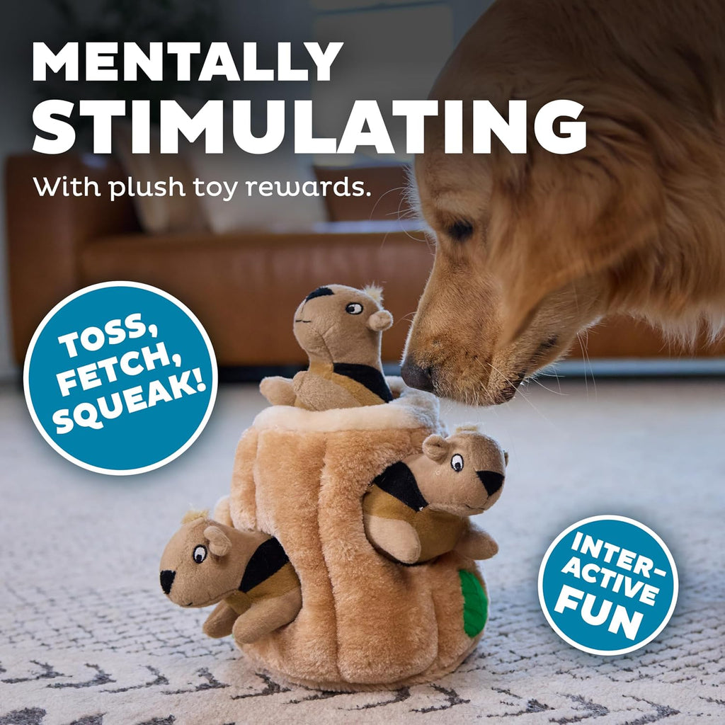 Outward Hound Hide-A-Squirrel Plush Squeaky Dog Toy, Large, 10.5" x 7.5" | Hide-n-Seek Puzzle, 3 Removable Squirrels, Fetch Play, Interactive Enrichment, Boredom Buster, Light Chewers, Dogs & Puppies