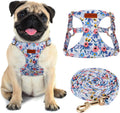 CHEDE No Pull Floral Pattern Dog Harness- Lightweight and Soft Harness, Adjustable Small Dog Harness and Leash Set, with Dog Leash, Suitable for Puppy Small and Medium-Sized Dog (S, Blue Rose)