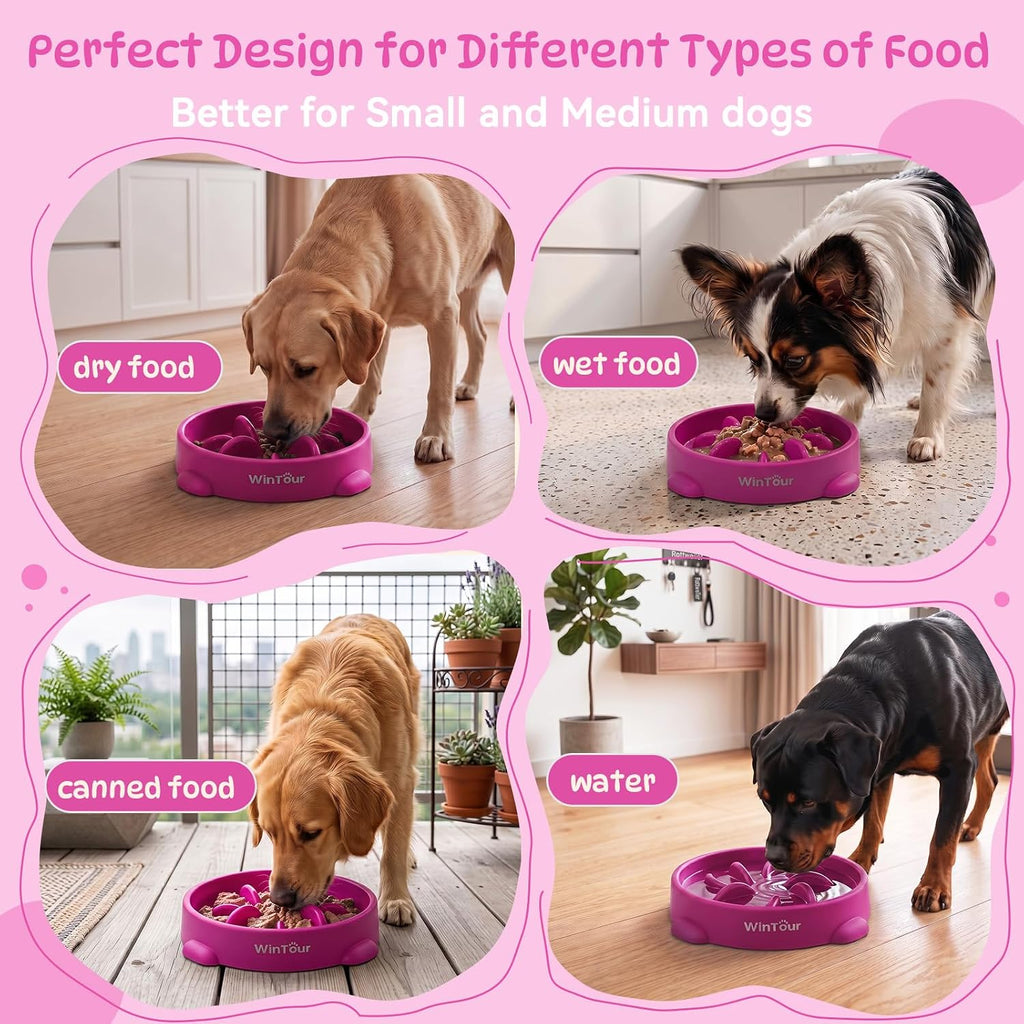 WinTour Slow Feeder Dog Bowls for Small Medium Pets, Round PP Dish, 1 Pack
