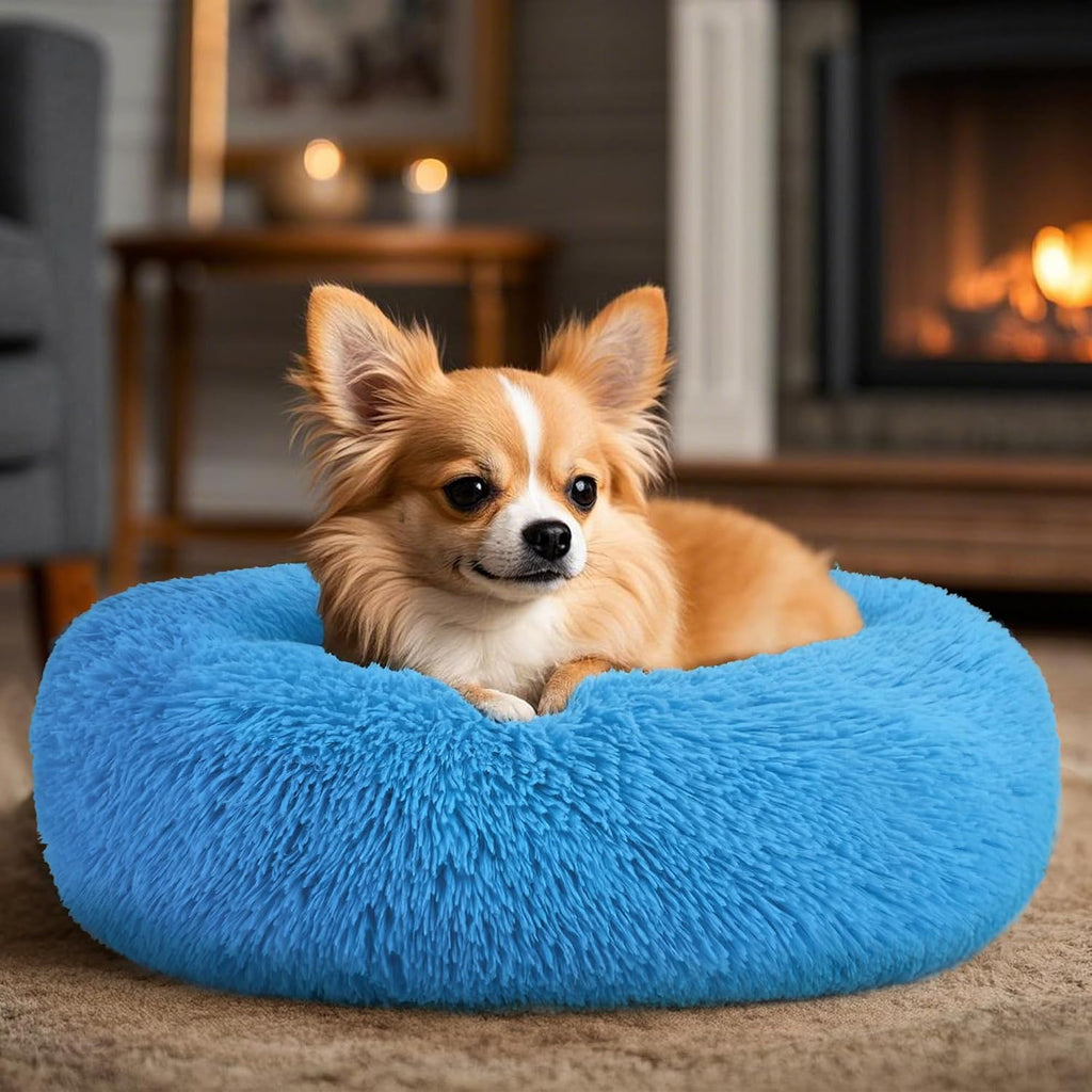 Hoewina Dog & Cat Bed, 20in Cat Beds for Indoor Cats (Light Blue)