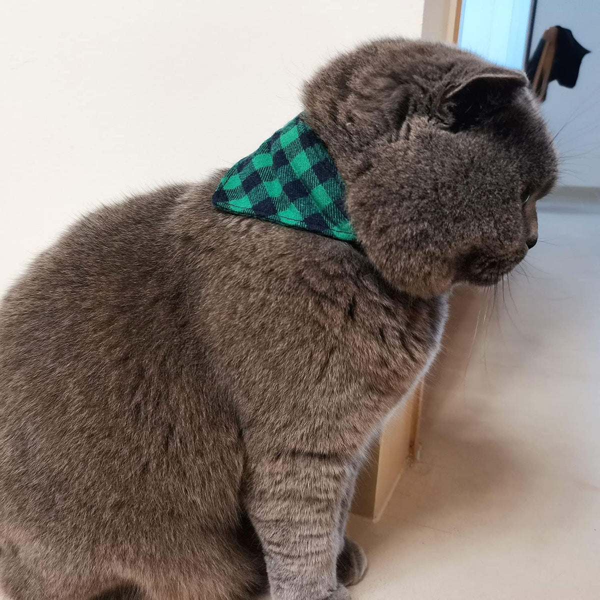 3PCS Bow Tie Dog Collar and Leash Set Plaid/Camo/Dots/Flower Dog Bandanas with Bell 3 Size Adjustable for Small Dogs Puppies and Cats (XS, Green Plaid)