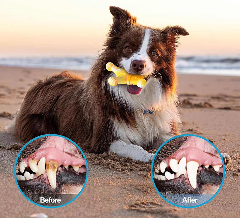 PETSTA Dog Chew Toys for Aggressive Chewers, Durable Dog Toys for Large Dogs, Heavy Duty Dog Toys/Large Dog Toys/Indestructible Dog Toys, Tough Dog Toys for Medium/Large Dogs Breed (New 4 Pack)