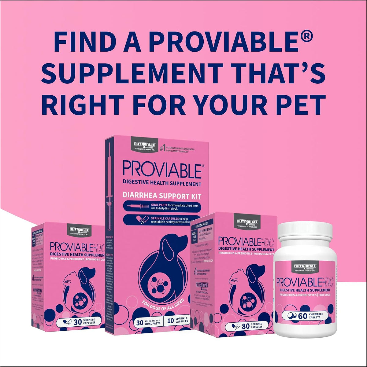 Nutramax Laboratories Proviable Digestive Health Supplement Kit with Multi-Strain Probiotics and Prebiotics for Cats and Small Dogs, with 7-Strains of Bacteria, 15 mL Paste and 10 Capsules