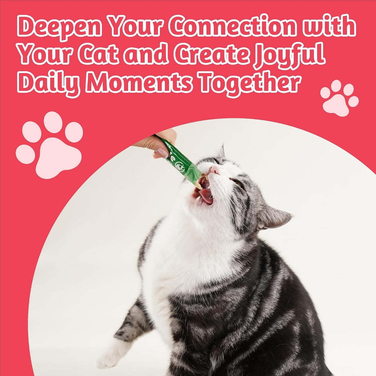 Just Try Lickable Cat Treats Variety Pack