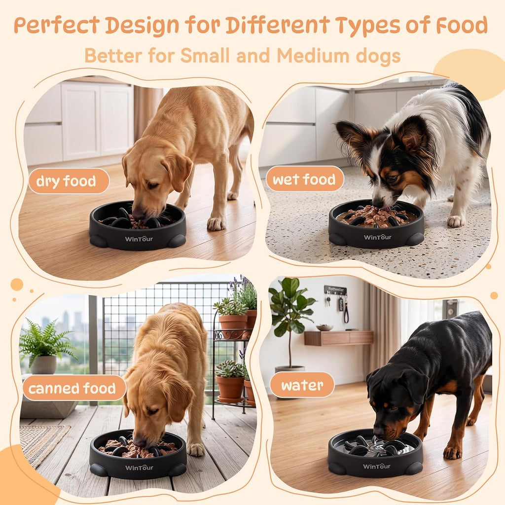 WinTour Slow Feeder Dog Bowls for Small Medium Pets, Round PP Dish, 1 Pack