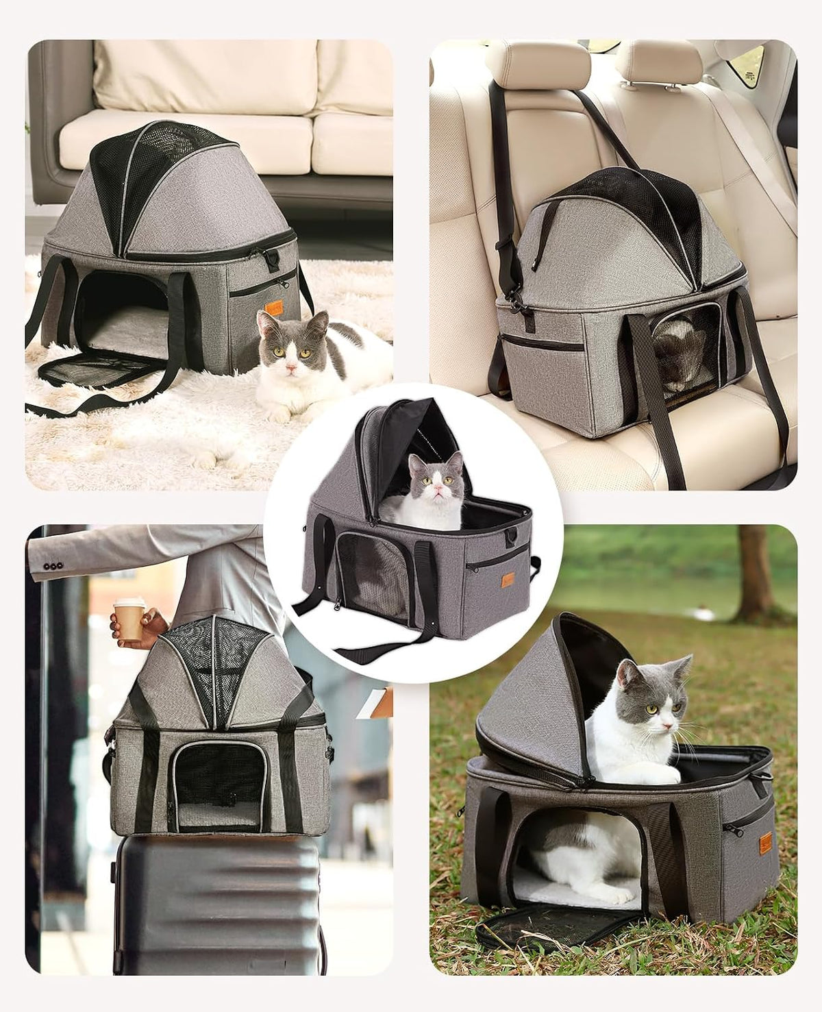 BurgeonNest Top-Expandable Cat Carrier with Semi-Open Canopy, Up to 25 lbs