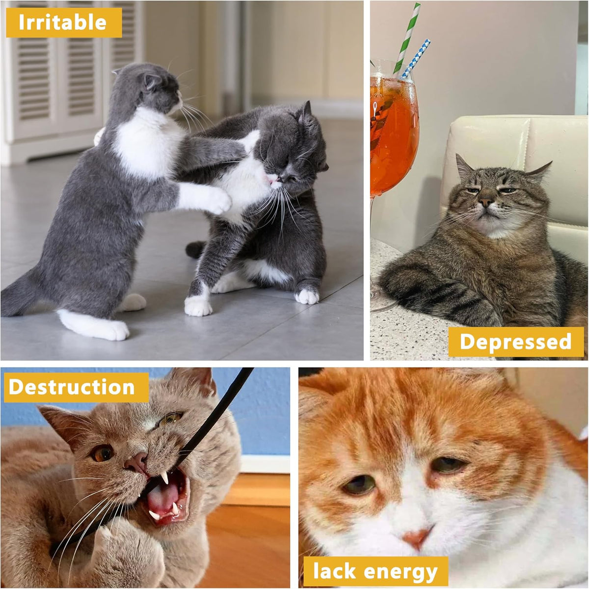 3 Pack Catnip Toys,Soft and Durable Cat Pillows Toys, Funny cat Toy