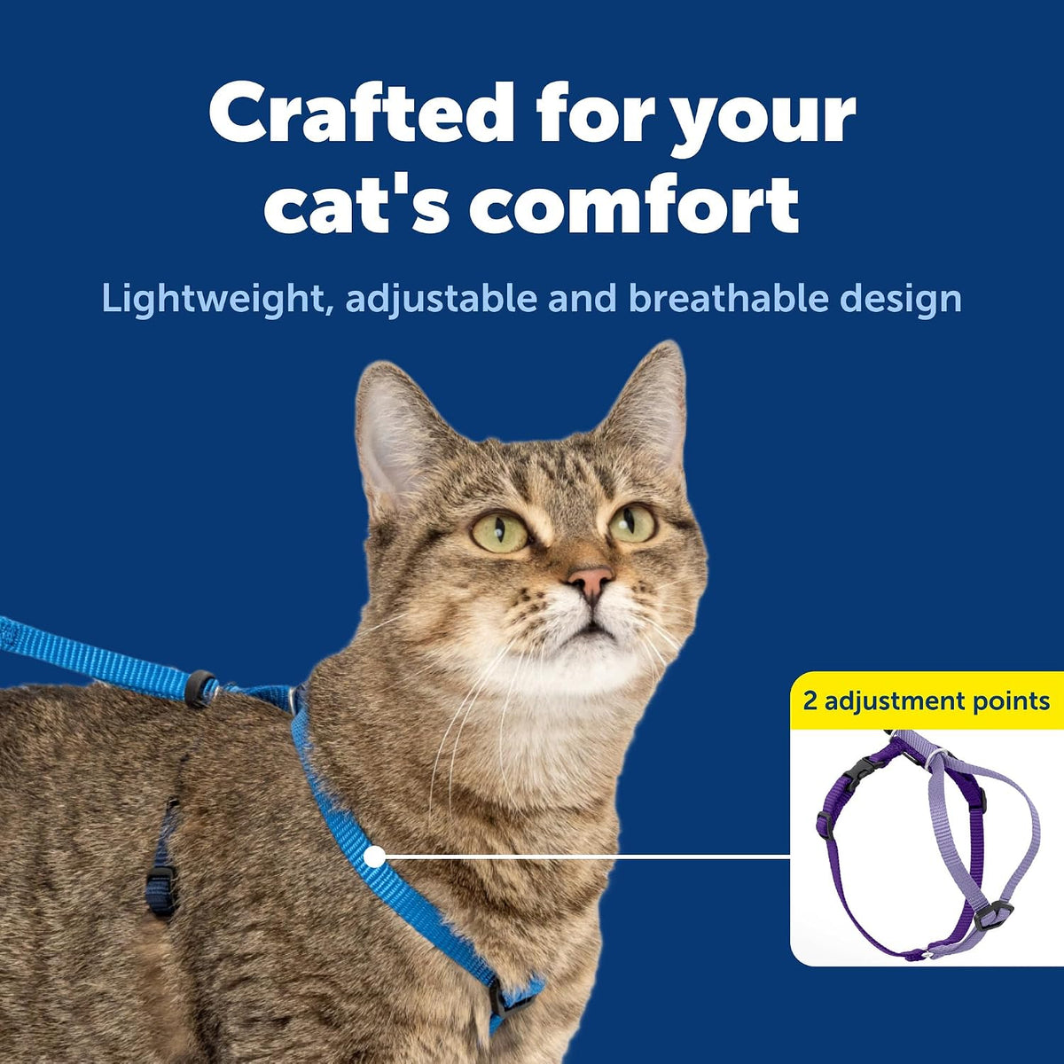PetSafe Come with Me Kitty Harness and Bungee Cat Leash, Royal Blue, Small