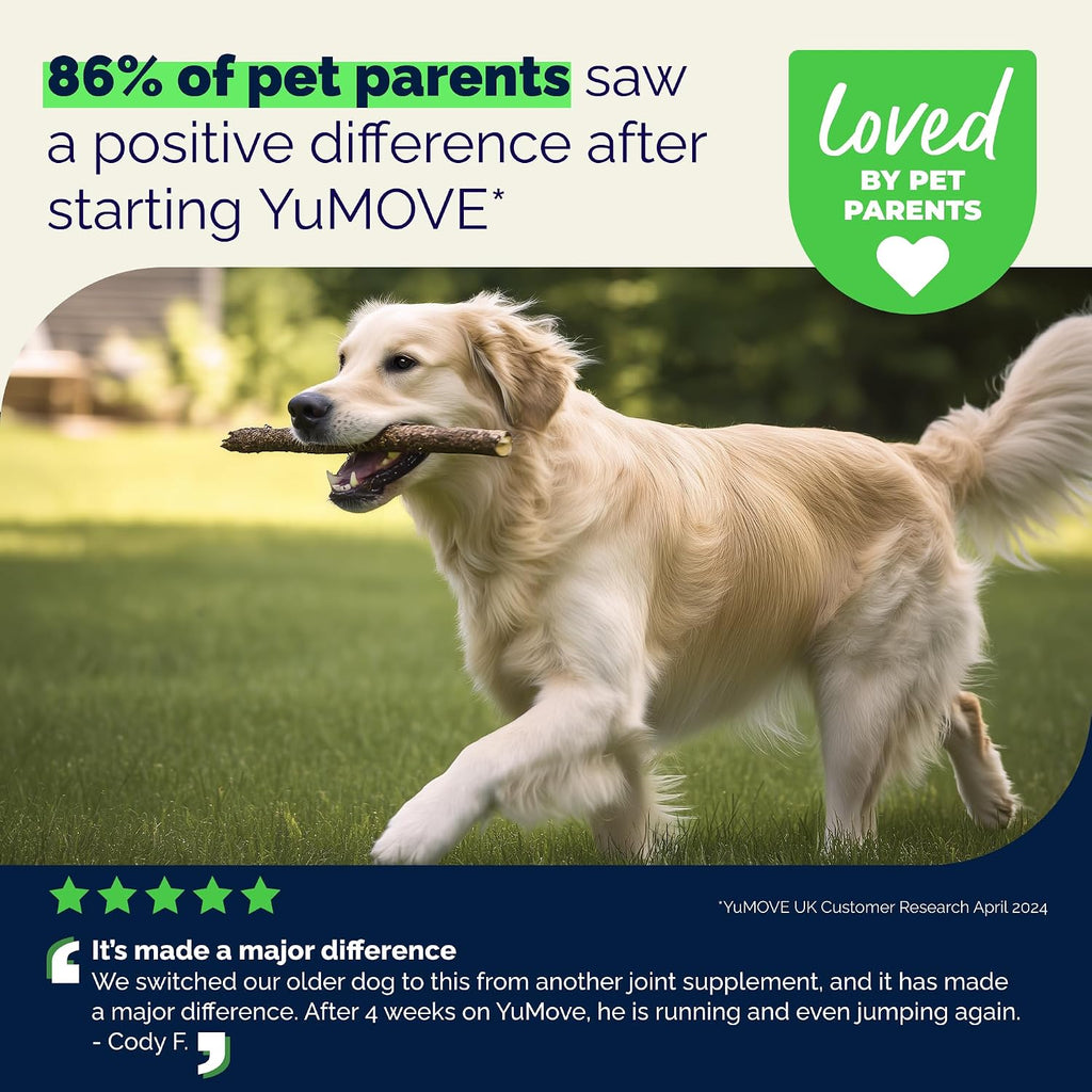 YuMOVE Senior Dog Joint Supplement Glucosamine & Green Lipped Mussel 240ct
