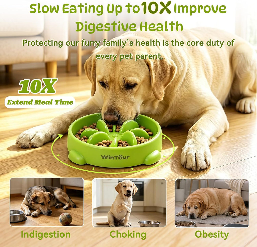 WinTour Slow Feeder Dog Bowls for Small Medium Pets, Round PP Dish, 1 Pack