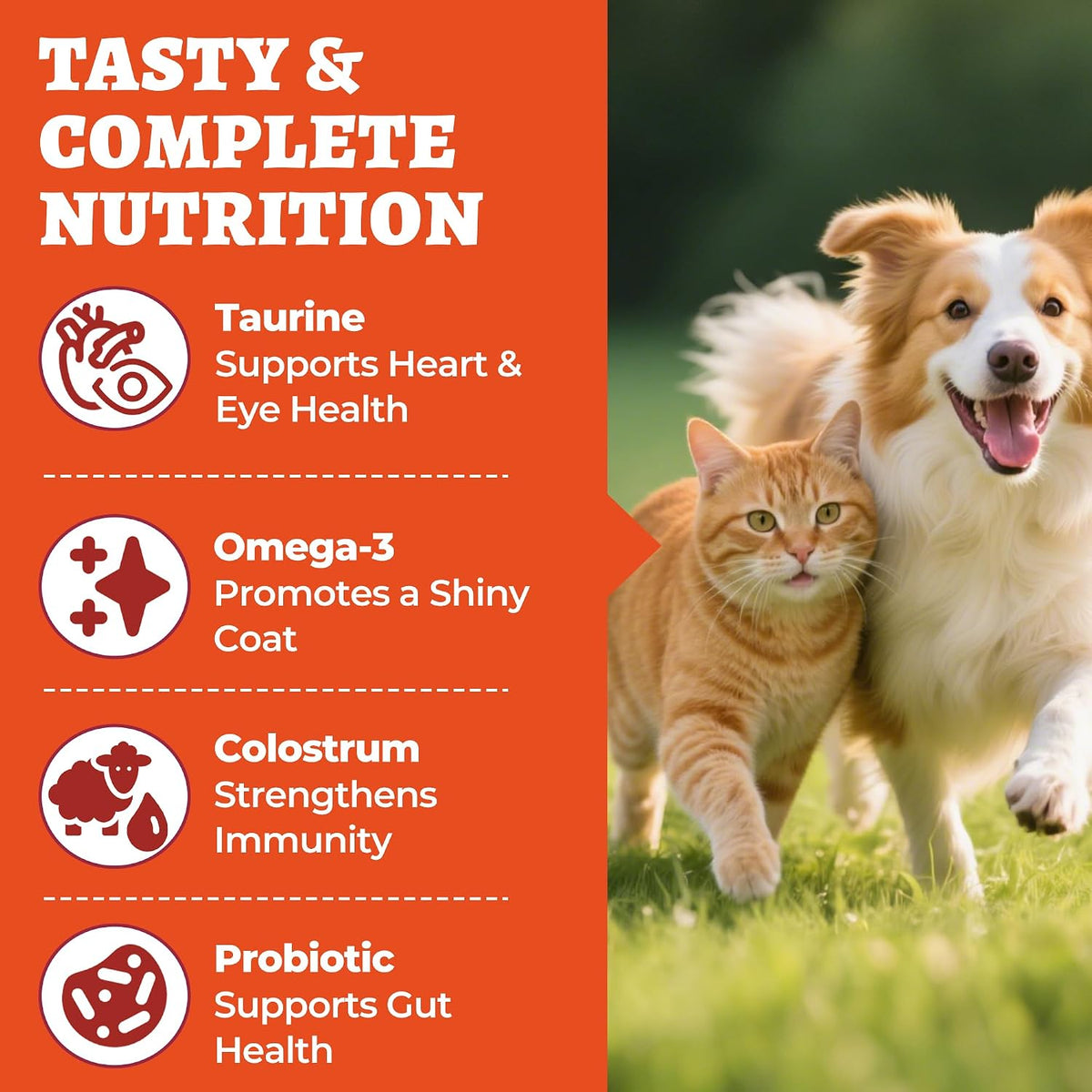 Wellix 7.02oz Multivitamins Taurine Powder for Dogs & Cats - Chicken Flavor