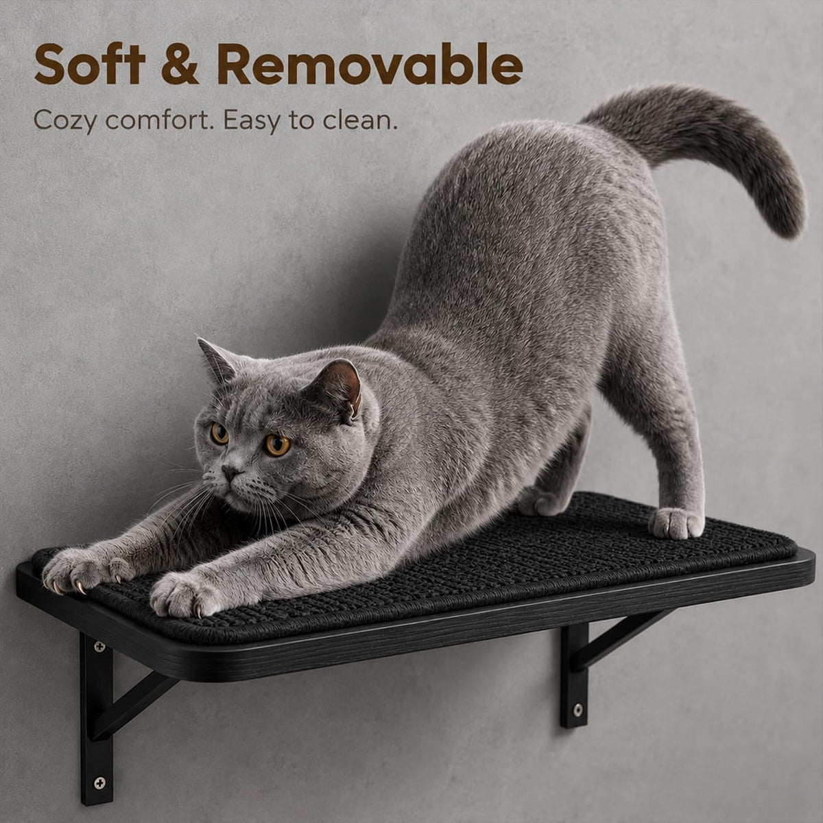 Cat Wall Shelves Set of 2, Black Solid Wood Window Perches with Sisal Mats