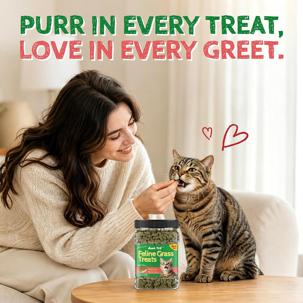 Just Try 16 oz Feline Grass Treats Salmon Flavor Hairball Treats for Cats